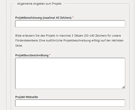 Online-Antrag mit Feldern zur Angabe von Projektenbezeichnung und -beschreibung.