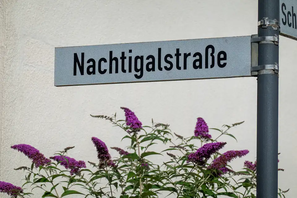 Stra&szlig;enschild Nachtigalstra&szlig;e