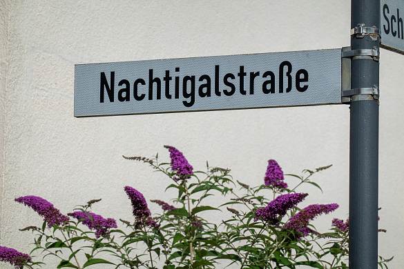 Straßenschild Nachtigalstraße Straßenschild Nachtigalstraße