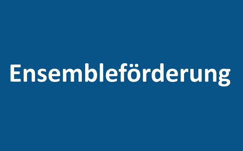 Ensembleförderung im Bereich Musik